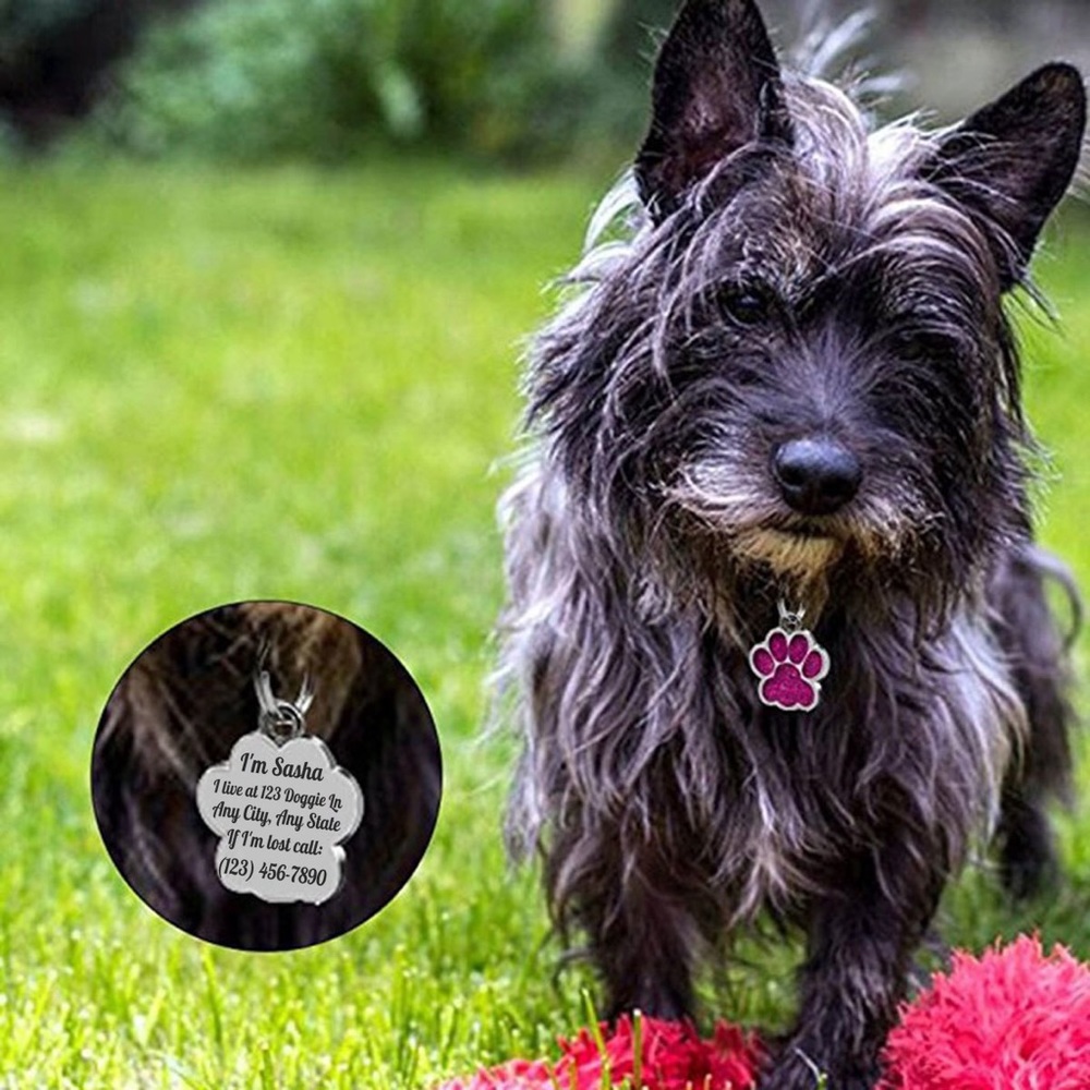 Dog paw ID Tag for cats and dogs.